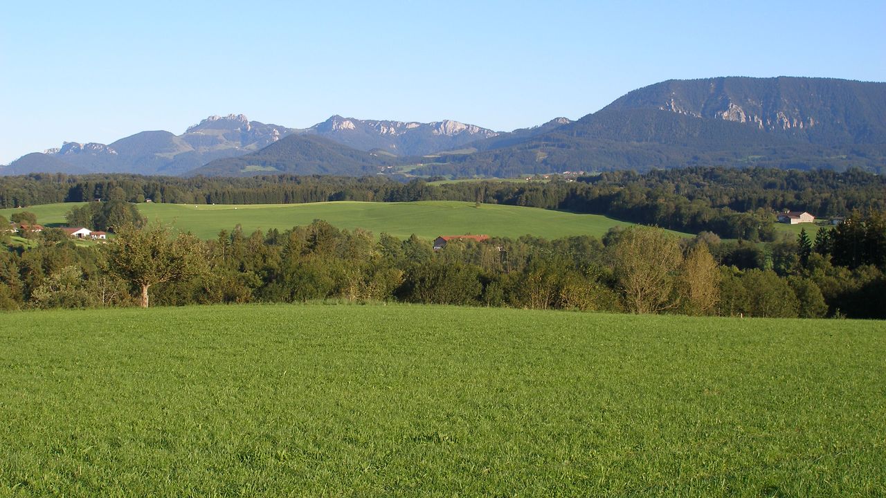 Blick vom Balkon Blick vom Balkon